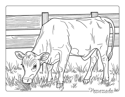 Cow Coloring Pages Semi Realistic Cow Grazing by Fence