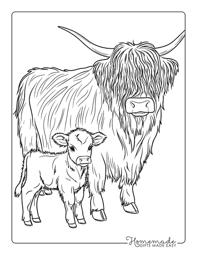 Cow Coloring Pages Semi Realistic Highland Cow and Calf