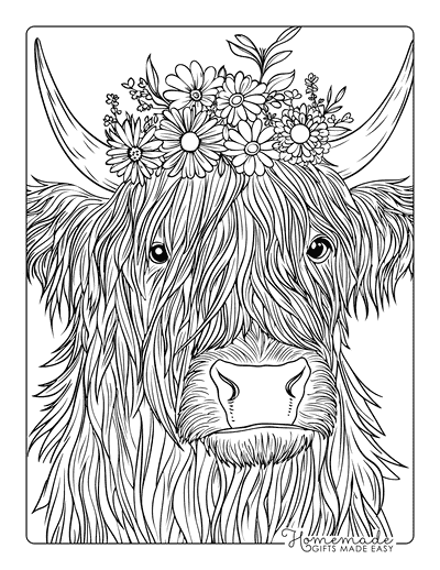 Cow Coloring Pages Semi Realistic Highland Cow Flower Crown