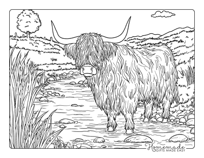 Cow Coloring Pages Semi Realistic Highland Cow in Stream