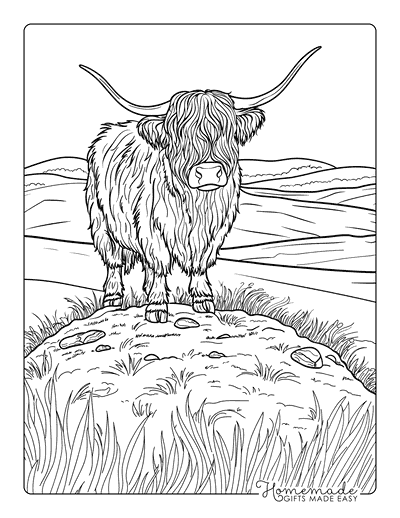 Cow Coloring Pages Semi Realistic Highland Cow on Grassy Hill