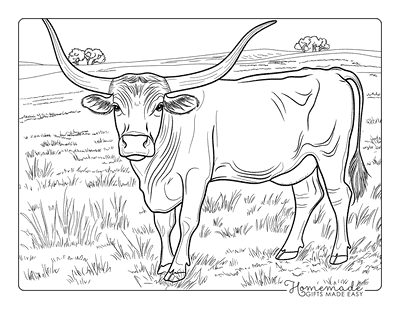 Cow Coloring Pages Semi Realistic Longhorn in Pasture