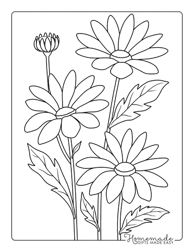 Daisy Coloring Pages