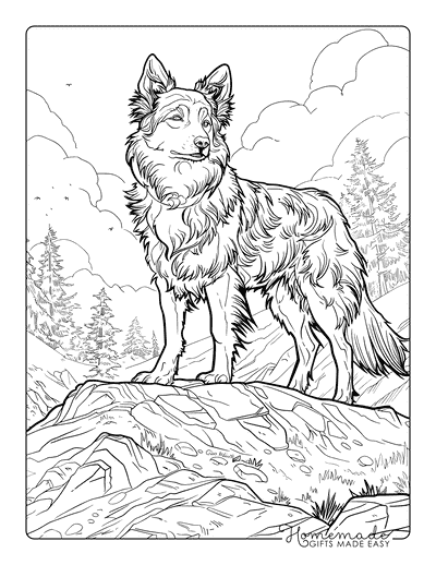 Dog Coloring Pages Australian Shepherd Mountainous Walk for Adults
