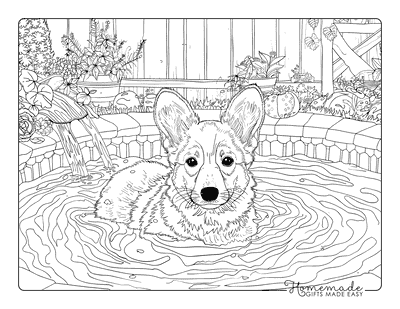 Dog Coloring Pages Corgi in a Pool for Adults