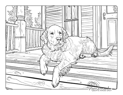 Dog Coloring Pages Golden Retriever Chilling on Porch for Adults