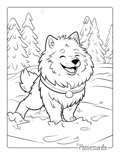 Dog Coloring Pages Happy Samoyed Playing in Snow for Kids