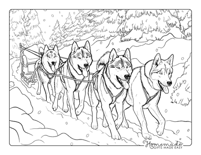 Dog Coloring Pages Huskies Pulling Dogsled for Adults