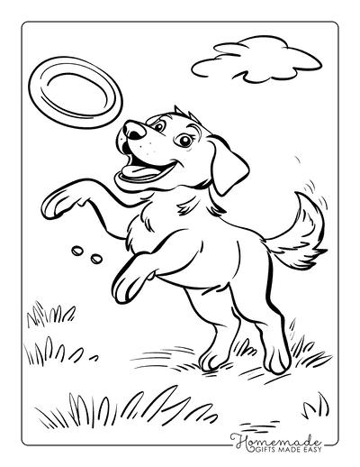 Dog Coloring Pages Labrador Catching Frisbee for Kids
