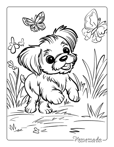 Dog Coloring Pages Shihtzu Puppy Chasing Butterfly for Kids