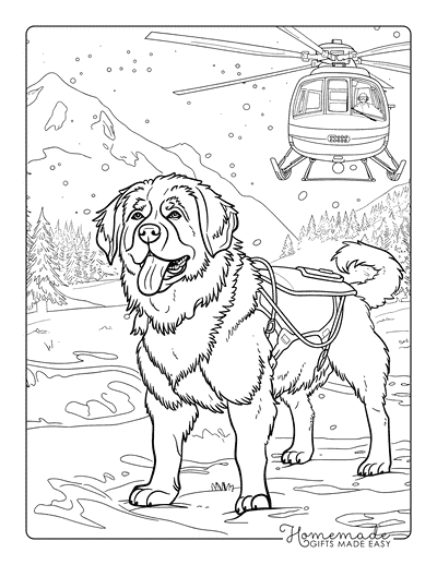 Dog Coloring Pages St Bernard Rescue Mission for Adults