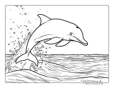 Dolphin Coloring Pages Dolphin Breaching Surface Adults