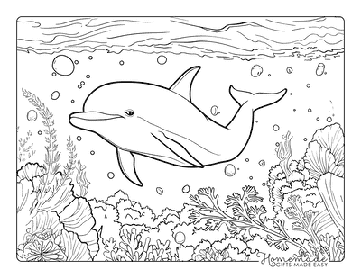 Dolphin Coloring Pages Dolphin in Garden