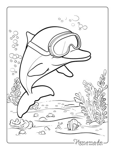 Dolphin Coloring Pages Snorkeling Dolphin