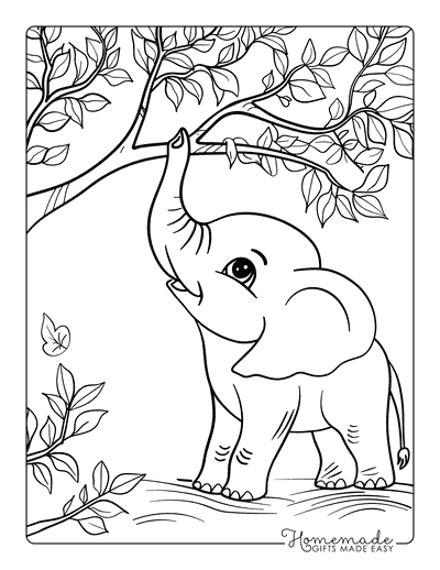 Elephant Coloring Pages Baby Elephant Reaching for Leaves