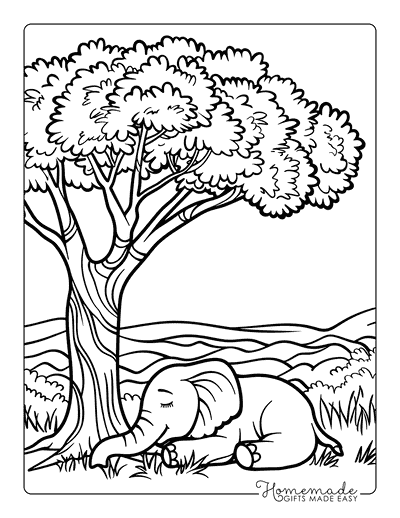 Elephant Coloring Pages Cute Elephant Napping Beneath Tree