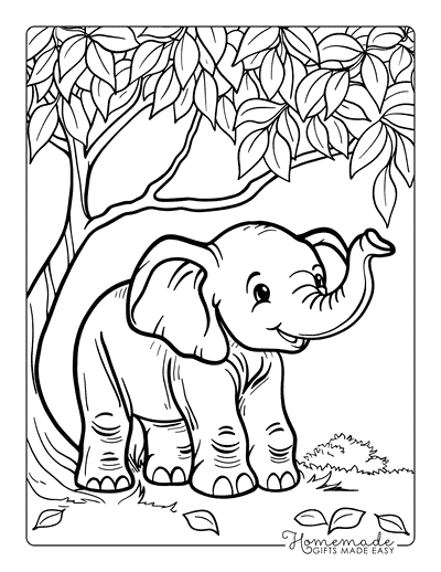 Elephant Coloring Pages Cute Elephant Reaching for Leaves