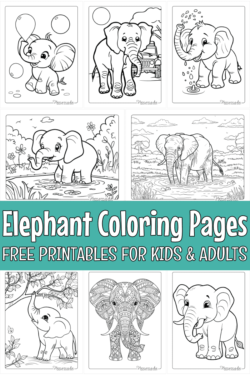 elephant coloring pages