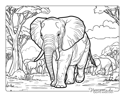 Elephant Coloring Pages Realistic Elephant Herd