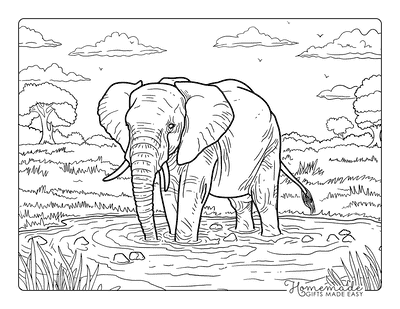 Elephant Coloring Pages Realistic Elephant Standing in Watering Hole