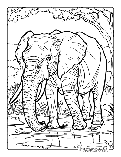 Elephant Coloring Pages Realistic Elephant Walking in Bush