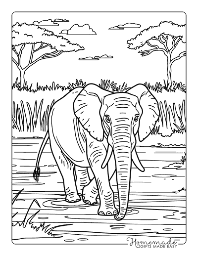 Elephant Coloring Pages Realistic Elephant Walking in Savannah