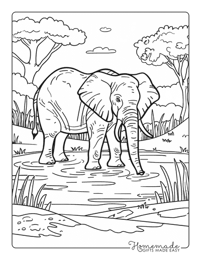 Elephant Coloring Pages Realistic Simple Elephant at Watering Hole