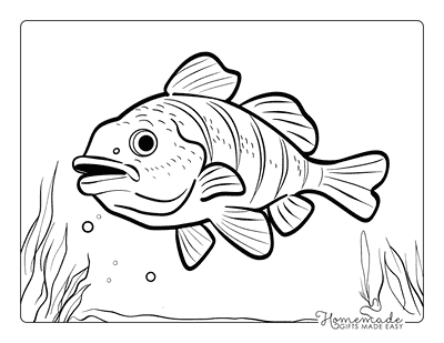 Fish Coloring Pages Cartoon Perch Kids