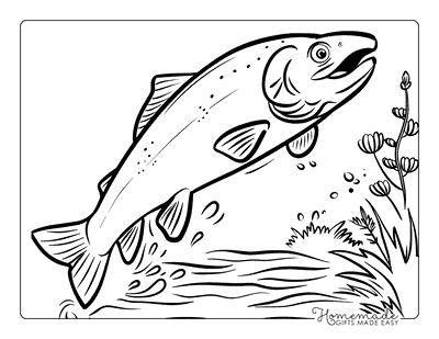 Fish Coloring Pages Cartoon Salmon Midair Kids