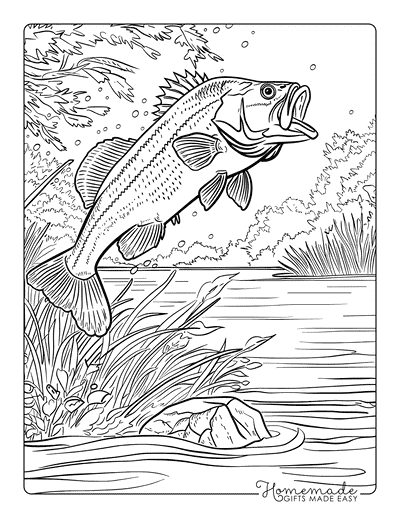 Fish Coloring Pages Realistic Largemouth Bass Jumping Adults