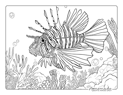 Fish Coloring Pages Realistic Lionfish Coral Reef Adults