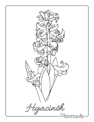 Flower Coloring Pages Hyacinth
