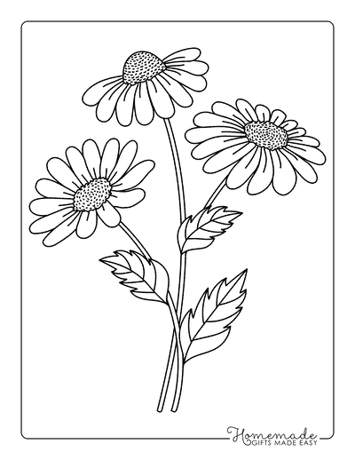 Flower Template Daisy Outline