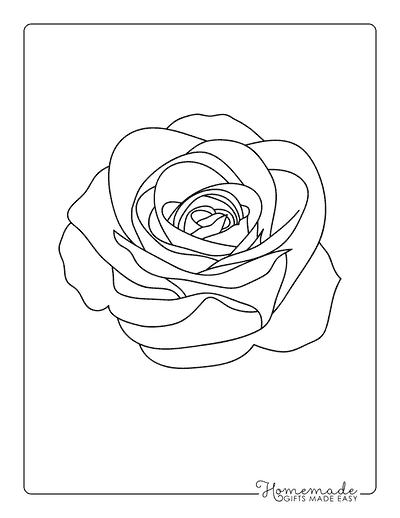 Flower Template Rose Outine 6 Inch