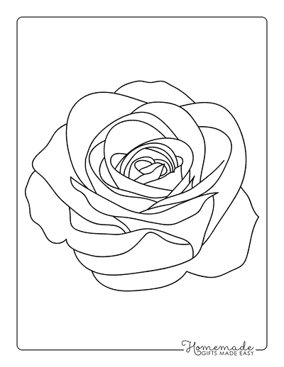 Flower Template Rose Outine 7 Inch