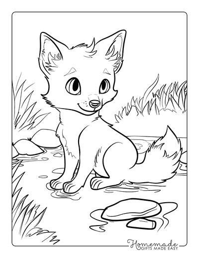 Fox Coloring Pages Baby Fox in Stream