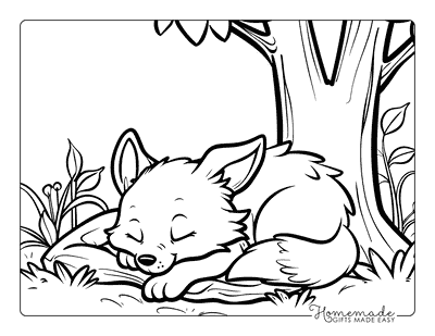 Fox Coloring Pages Baby Fox Napping Under Tree