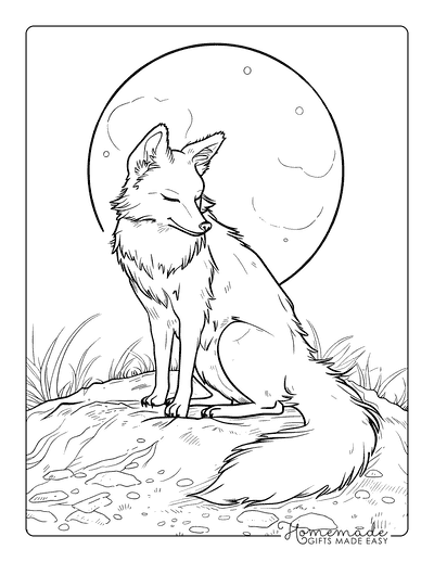 Fox Coloring Pages Realistic Fox Full Moon Adults