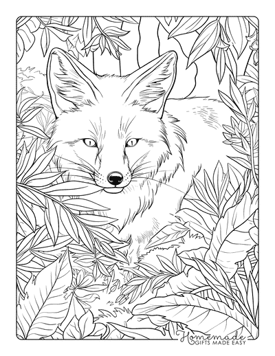 Fox Coloring Pages Realistic Fox Prowling in Forest Adults