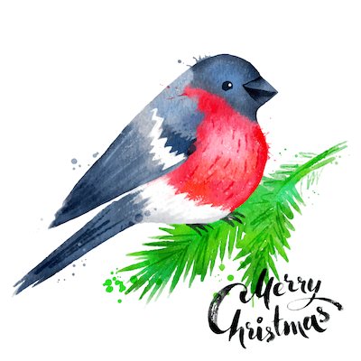 Free Printable Christmas Cards Watercolor Robin Merry