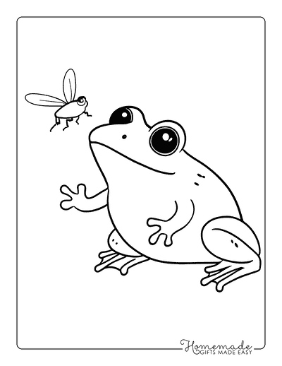 Frog Coloring Pages Cute Frog Catching Fly