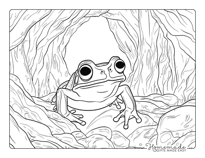 Frog Coloring Pages Realistic Frog in a Cave