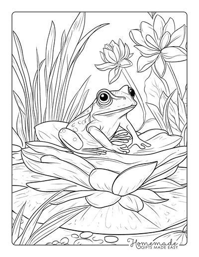 Frog Coloring Pages Realistic Frog on Lotus Flower