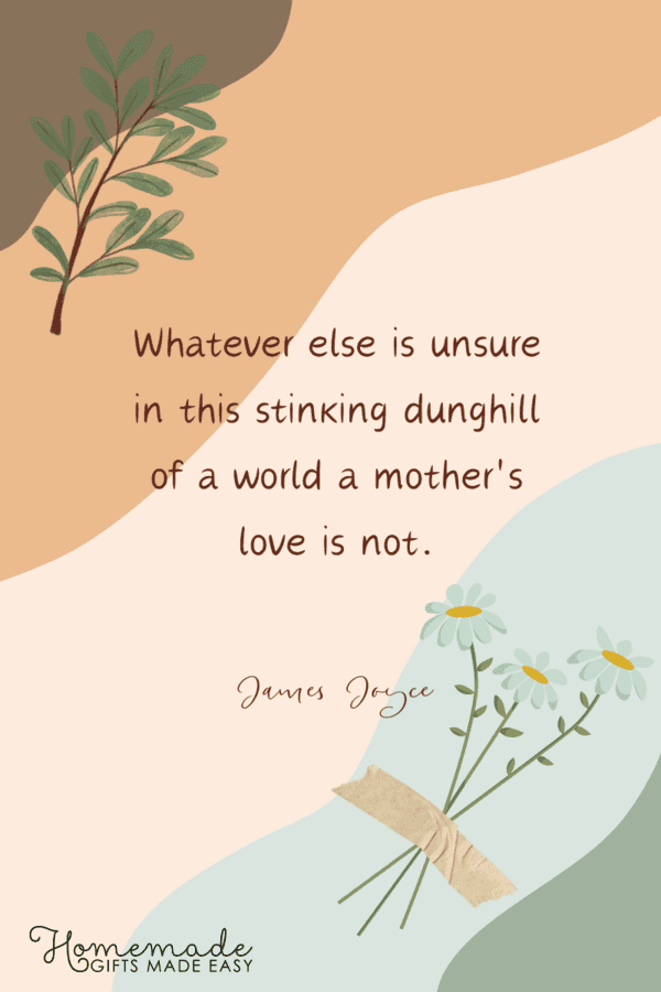 funny mother's day quotes whatever is unsure in this world, a mother's love is not