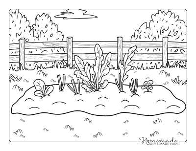 Garden Coloring Pages Easy Vegetable Garden for Kids