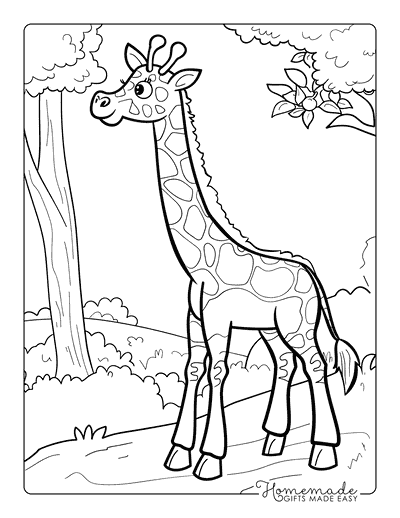 Giraffe Coloring Pages Cute Adult Giraffe