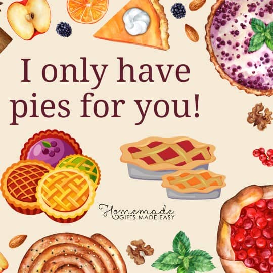 Happy Thanksgiving I only have pies for you