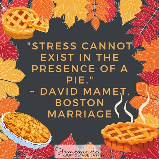 Happy Thanksgiving stress cannot exist in the presence of pie