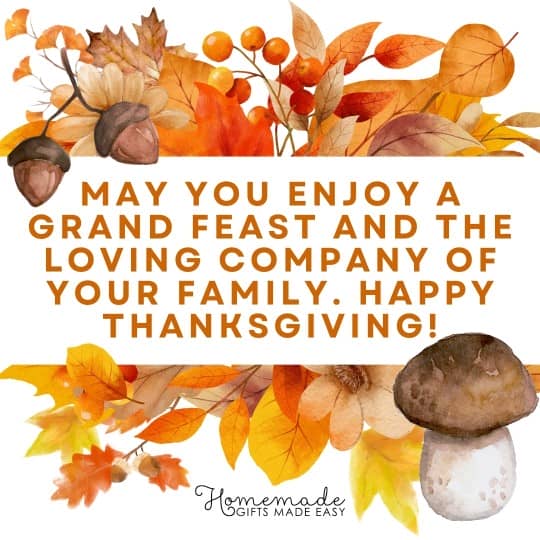 Happy Thanksgiving may you enjoy a grand feast and the loving company of your family