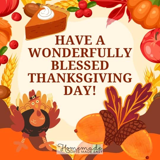 Happy Thanksgiving Have a wonderfully blessed thanksgiving day!